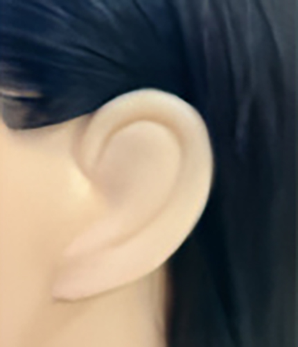 WIG｜商品一覧｜APEX有限会社