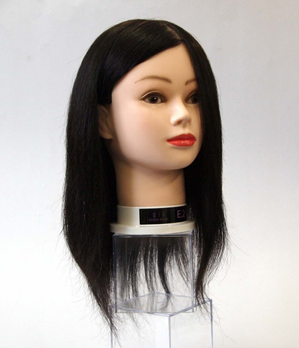 WIG｜商品一覧｜APEX有限会社