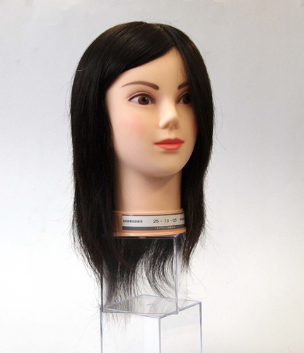 WIG｜商品一覧｜APEX有限会社